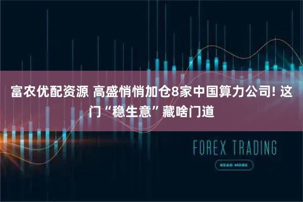 富农优配资源 高盛悄悄加仓8家中国算力公司! 这门“稳生意”藏啥门道