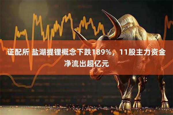 证配所 盐湖提锂概念下跌189%，11股主力资金净流出超亿元