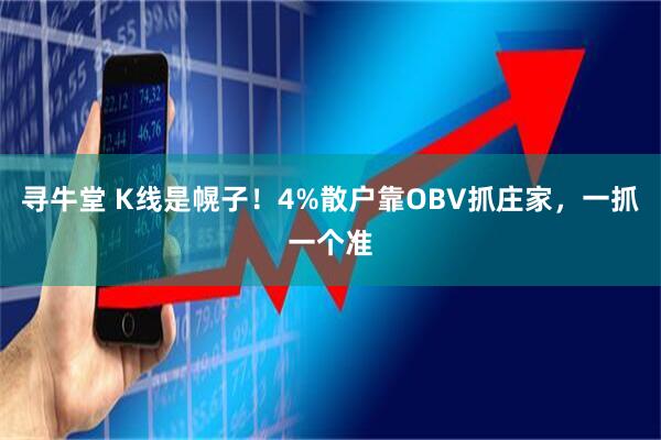 寻牛堂 K线是幌子！4%散户靠OBV抓庄家，一抓一个准