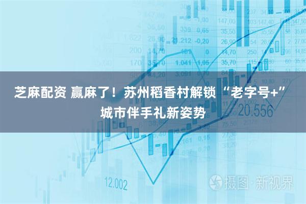 芝麻配资 赢麻了！苏州稻香村解锁 “老字号+” 城市伴手礼新姿势